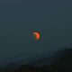 Image for article titled 34 Amazing Photos Of The Super Blood Moon